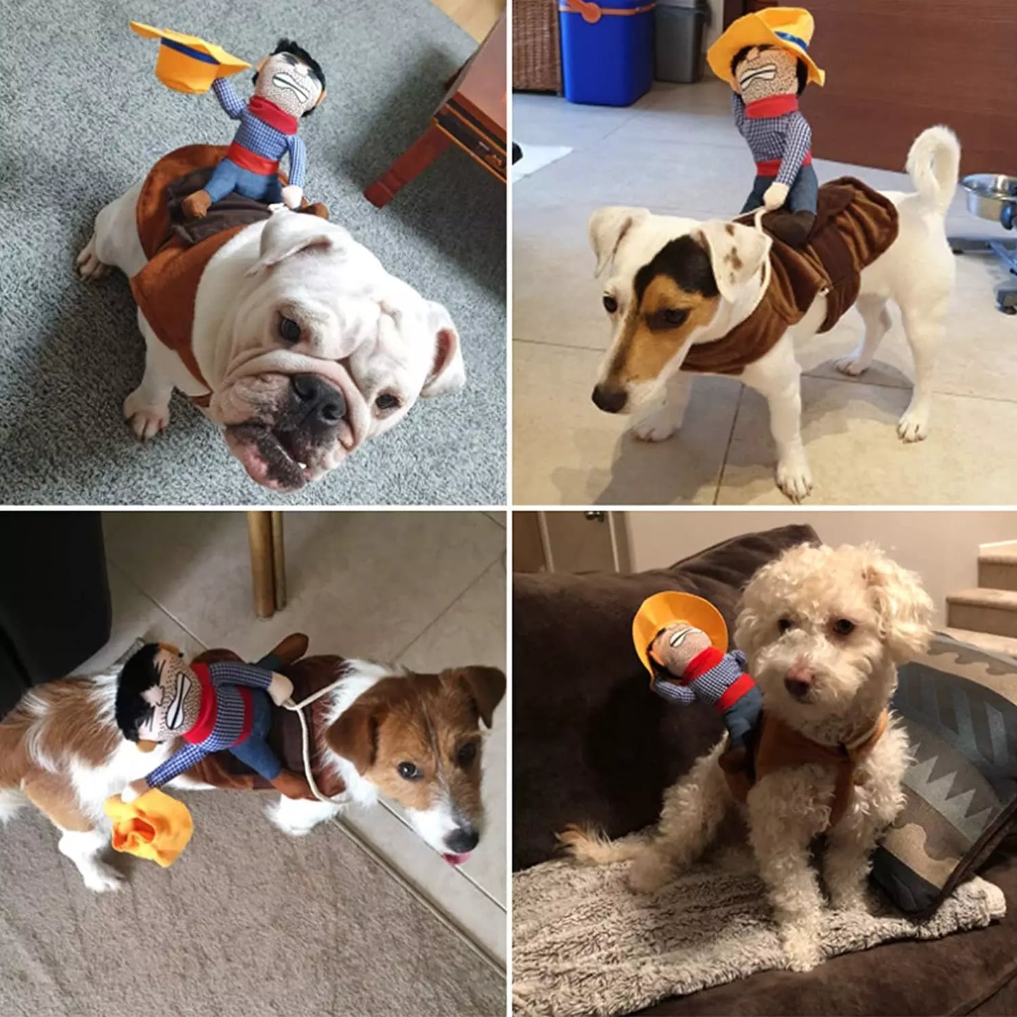 Dog Cowboy Halloween Costume