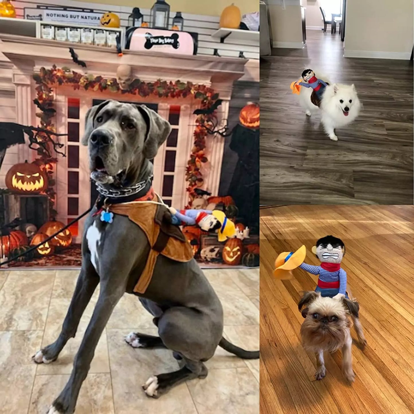Dog Cowboy Halloween Costume