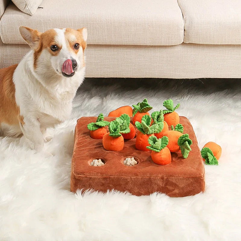Calming Carrot Farm