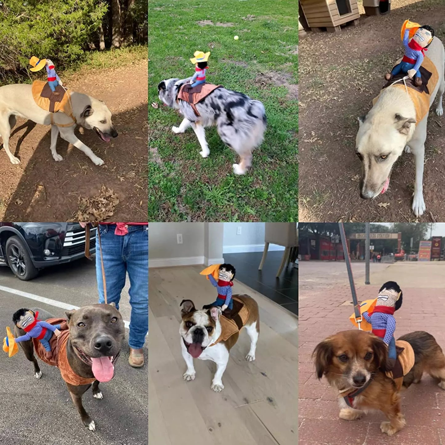 Dog Cowboy Halloween Costume