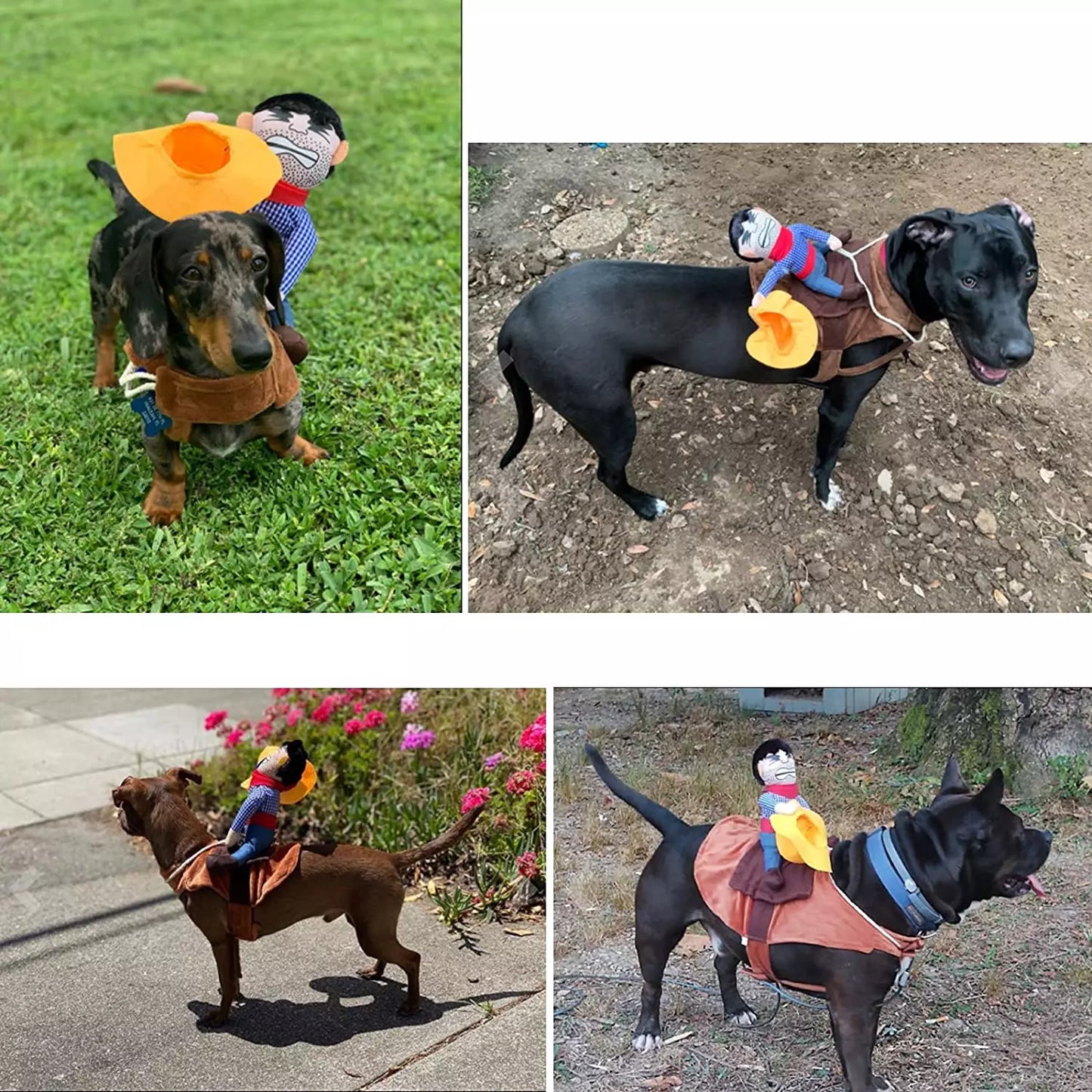 Dog Cowboy Halloween Costume