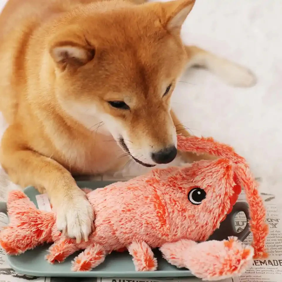 The Original Floppy Lobster - Interactive Dog Toy