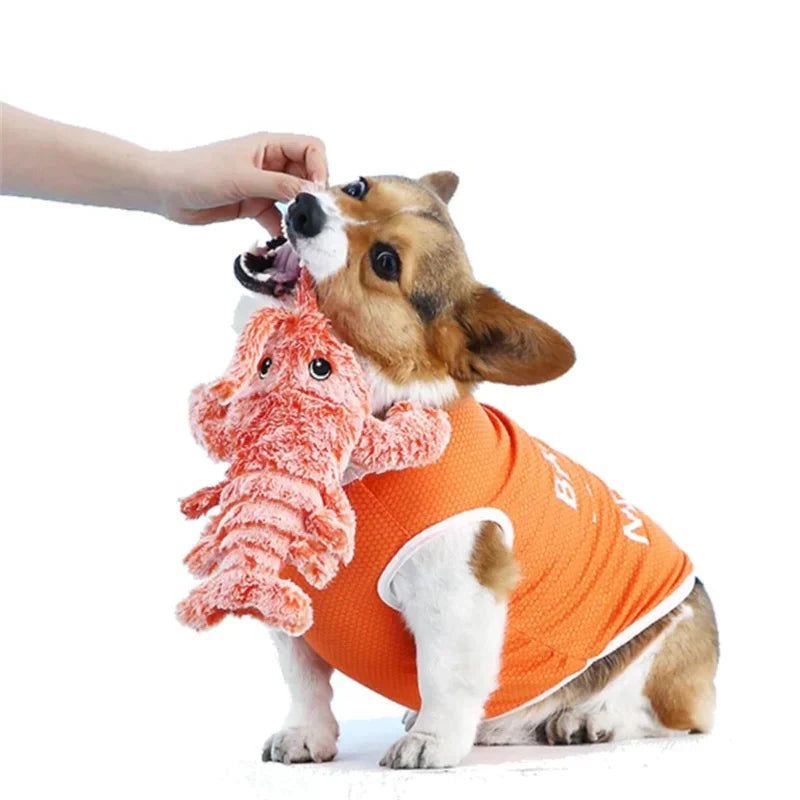 The Original Floppy Lobster - Interactive Dog Toy