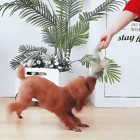The Original InvinciPups Heavy Duty Chew Toy