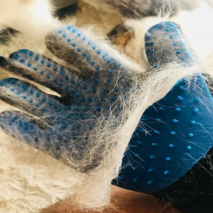 Pet Grooming Gloves