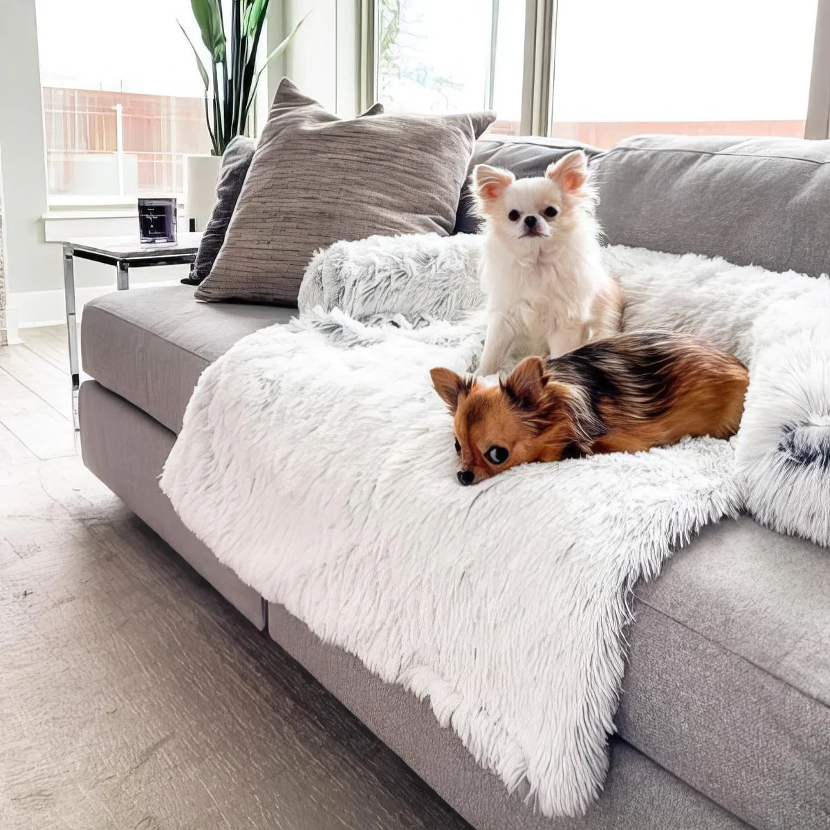 Calming Dog Furniture Cover