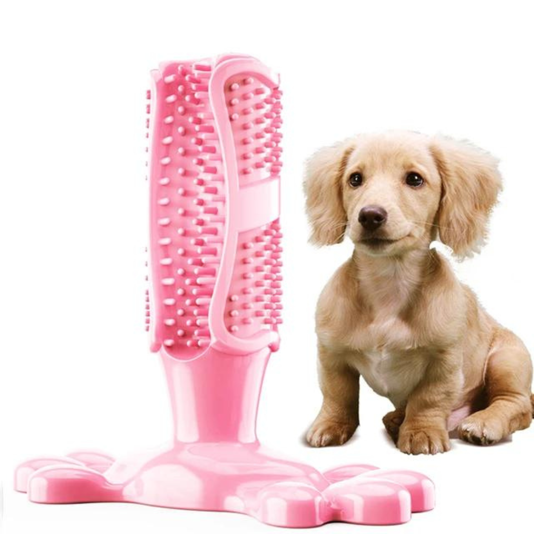 CleanTeeth Dog Dental Chew Toy