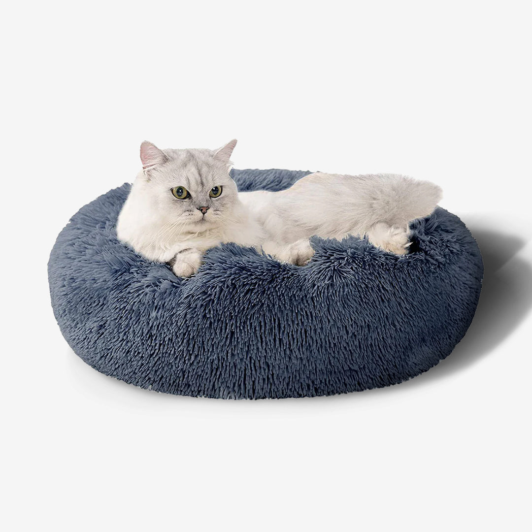 Calming Cat Bed Cat Anxiety Bed Orthopedic Stress Relief Summer Cat Bed The Calm Pet