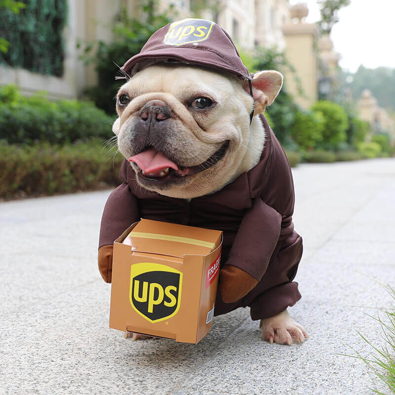 Ups Dog Halloween Costume