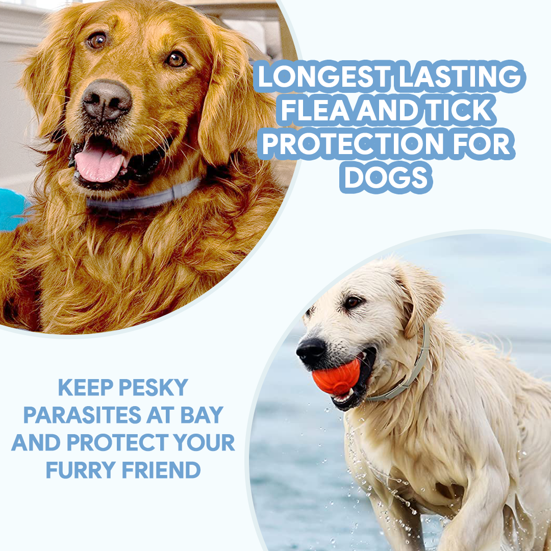 Dog AntiTickCollar - Long-lasting Flea & Tick Repellent | 8 Months Protection