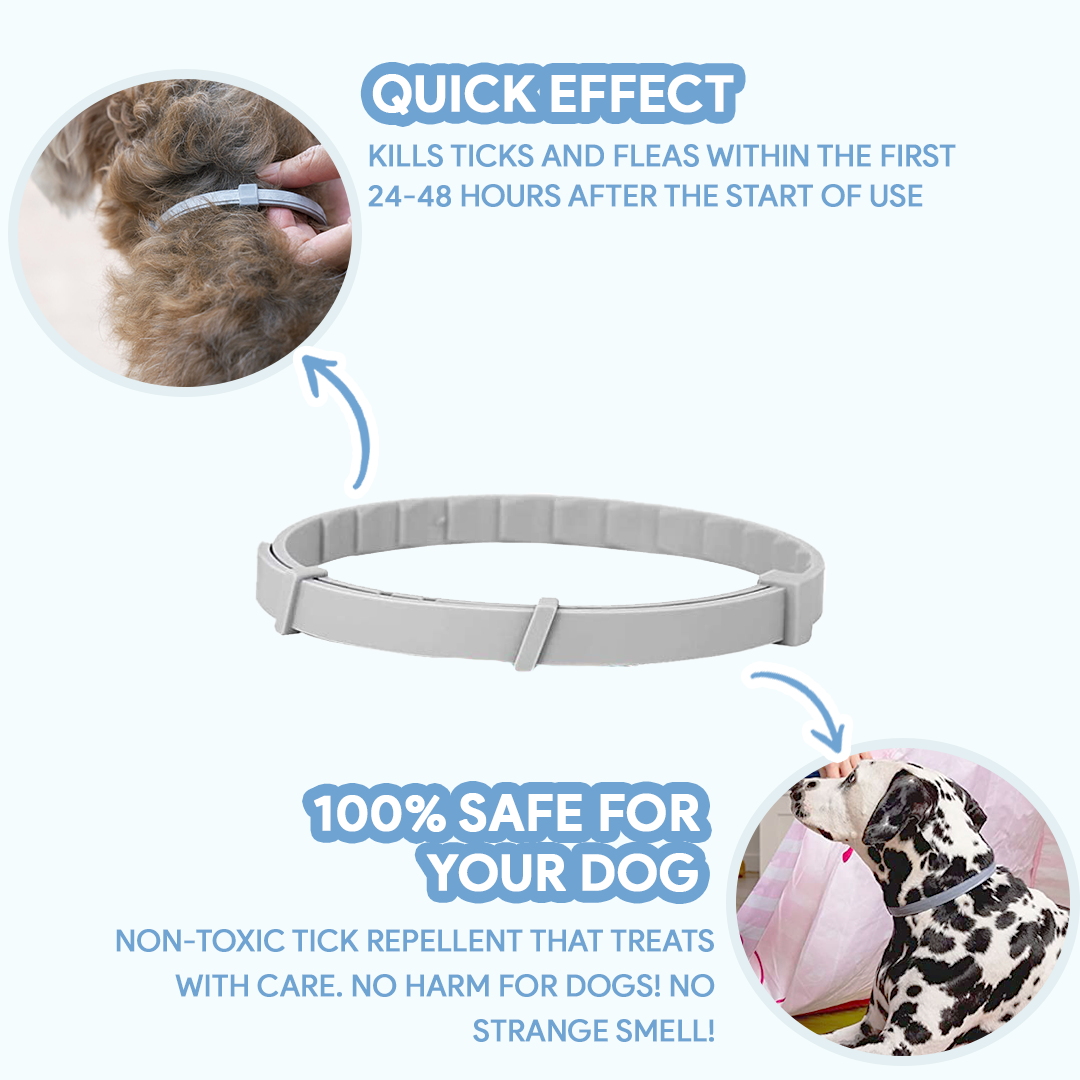 Dog AntiTickCollar - Long-lasting Flea & Tick Repellent | 8 Months Protection