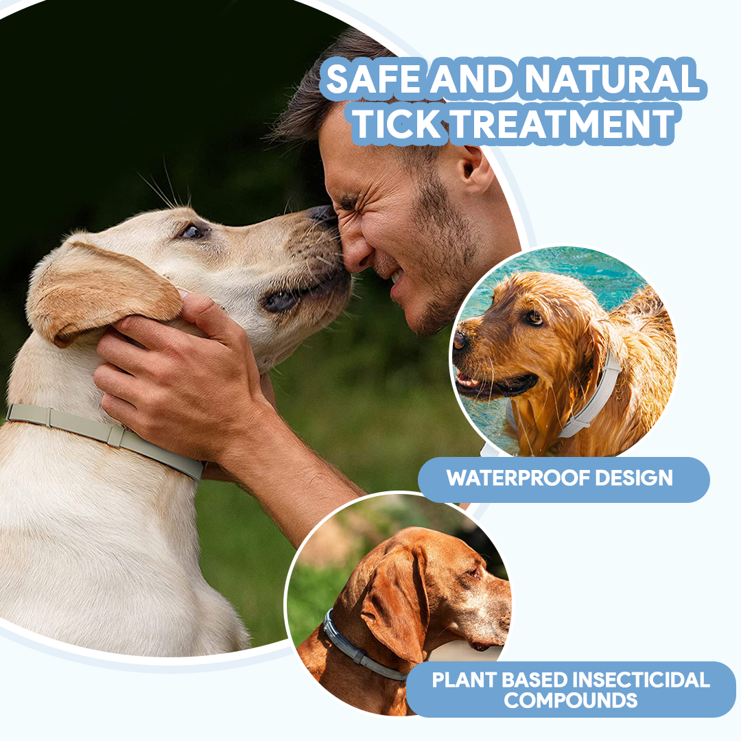 Dog AntiTickCollar - Long-lasting Flea & Tick Repellent | 8 Months Protection