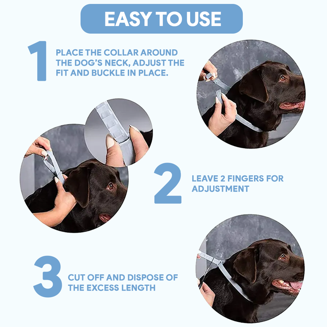 Dog AntiTickCollar - Long-lasting Flea & Tick Repellent | 8 Months Protection