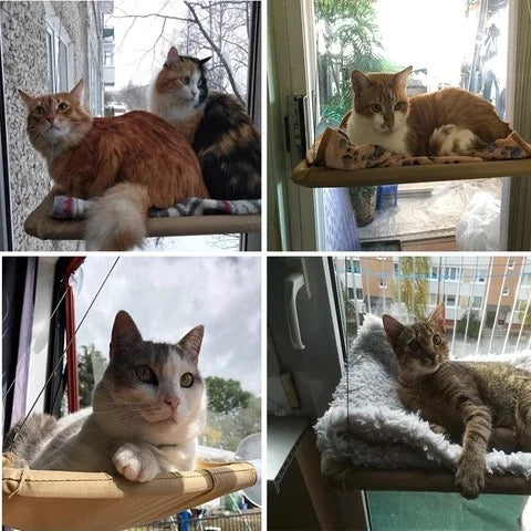 Premium Cat Hammock