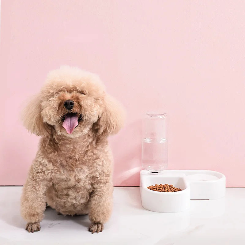 Automatic Pet Feeder and Water Dispenser