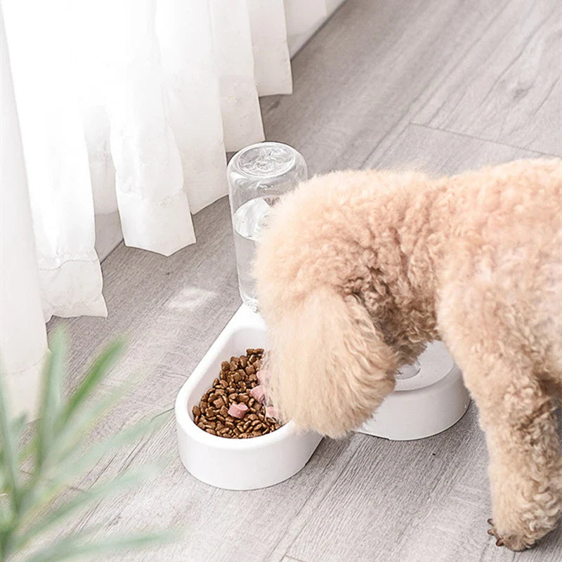 Automatic Pet Feeder and Water Dispenser