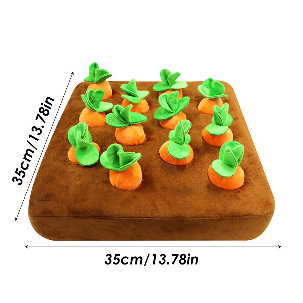 Calming Carrot Farm