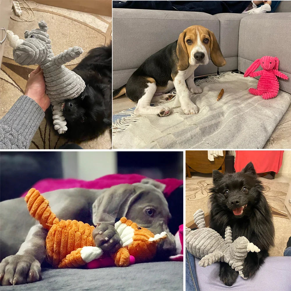 Plush Dog Chew Toys for Small and Large Dogs