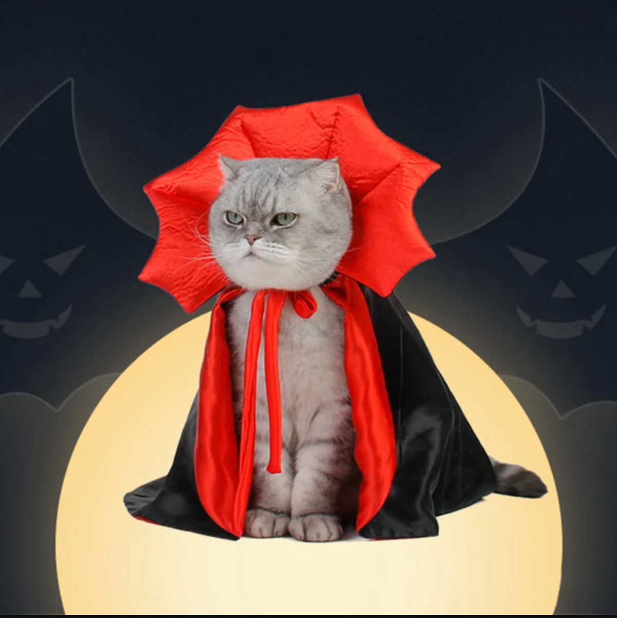 Vampire Cat Halloween Costume
