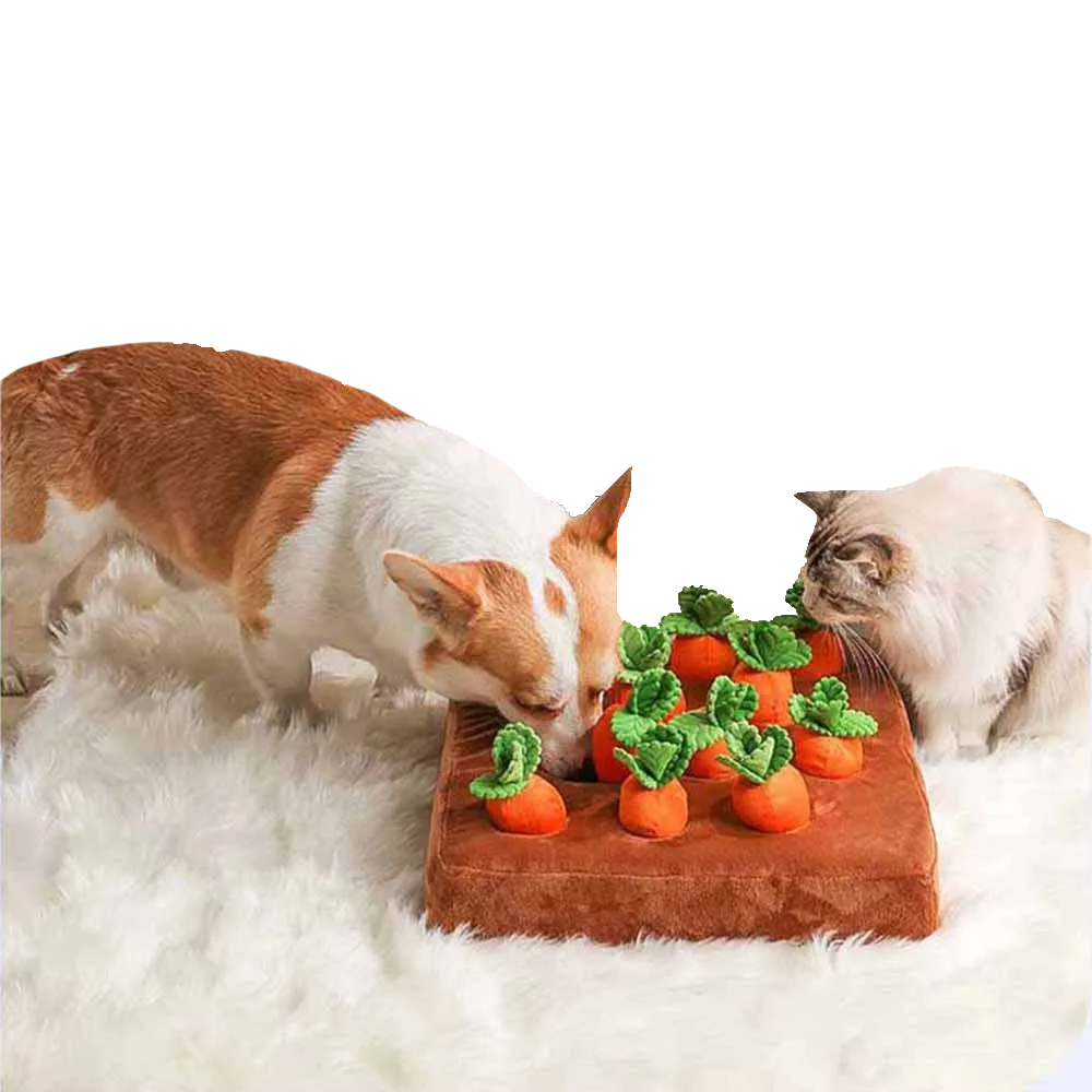 Calming Carrot Farm
