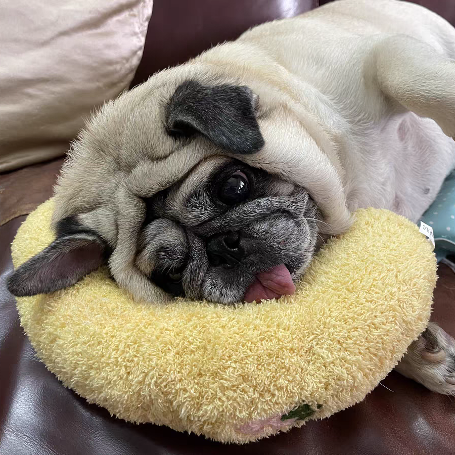 Calming Pillow