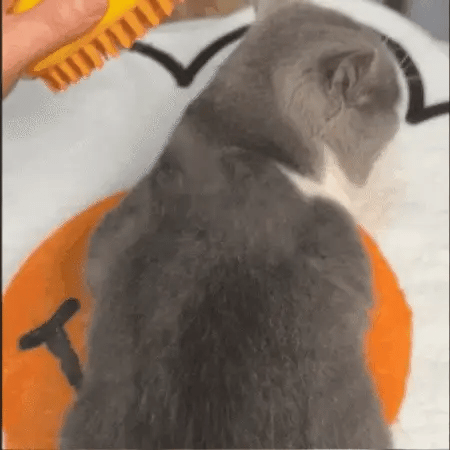 Steamy Cat Grooming Brush