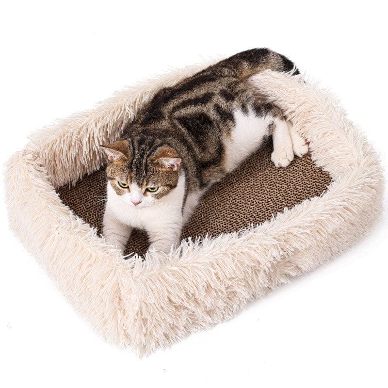 2-in-1 Cat Scratcher and Bed