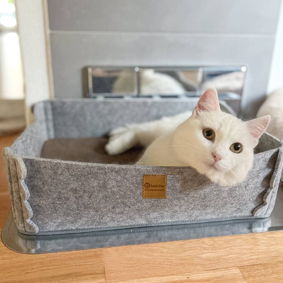 2-in-1 Cat Scratcher and Bed