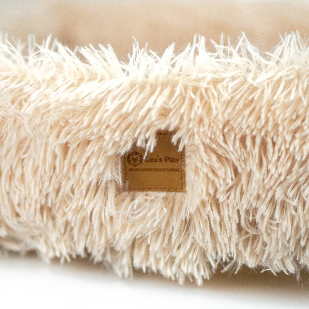 2-in-1 Cat Scratcher and Bed
