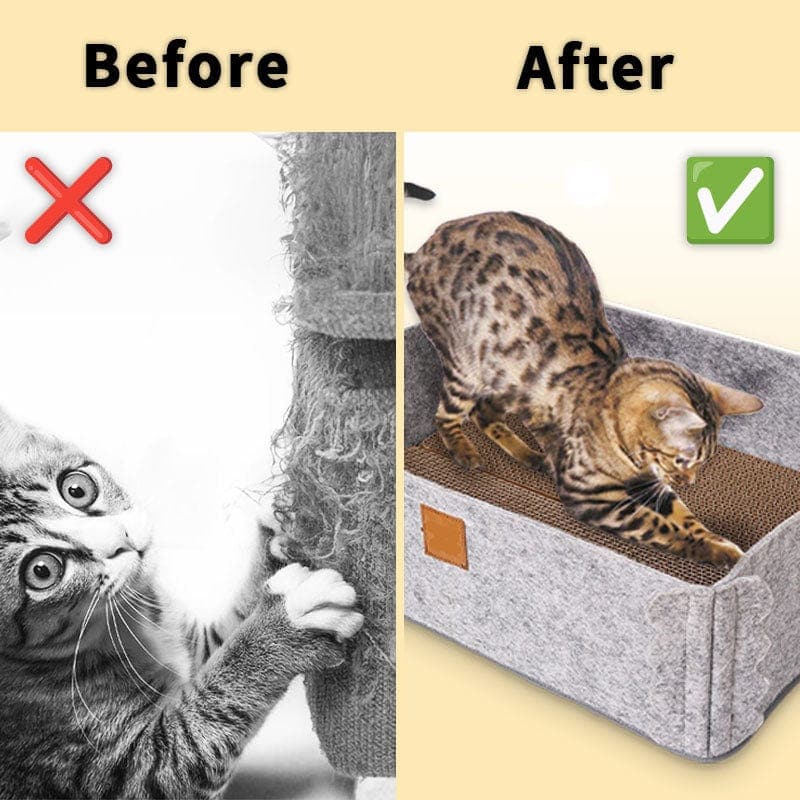 2-in-1 Cat Scratcher and Bed