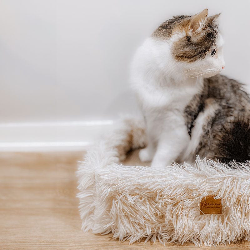 2-in-1 Cat Scratcher and Bed