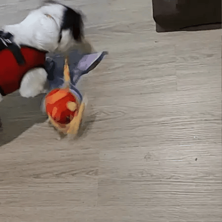 Dog Sniffle Toy For Interactive Play