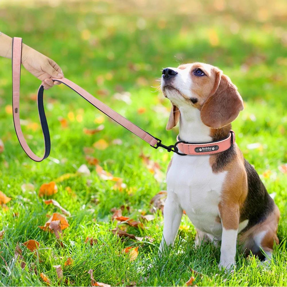 Personalized Leather Dog Collar