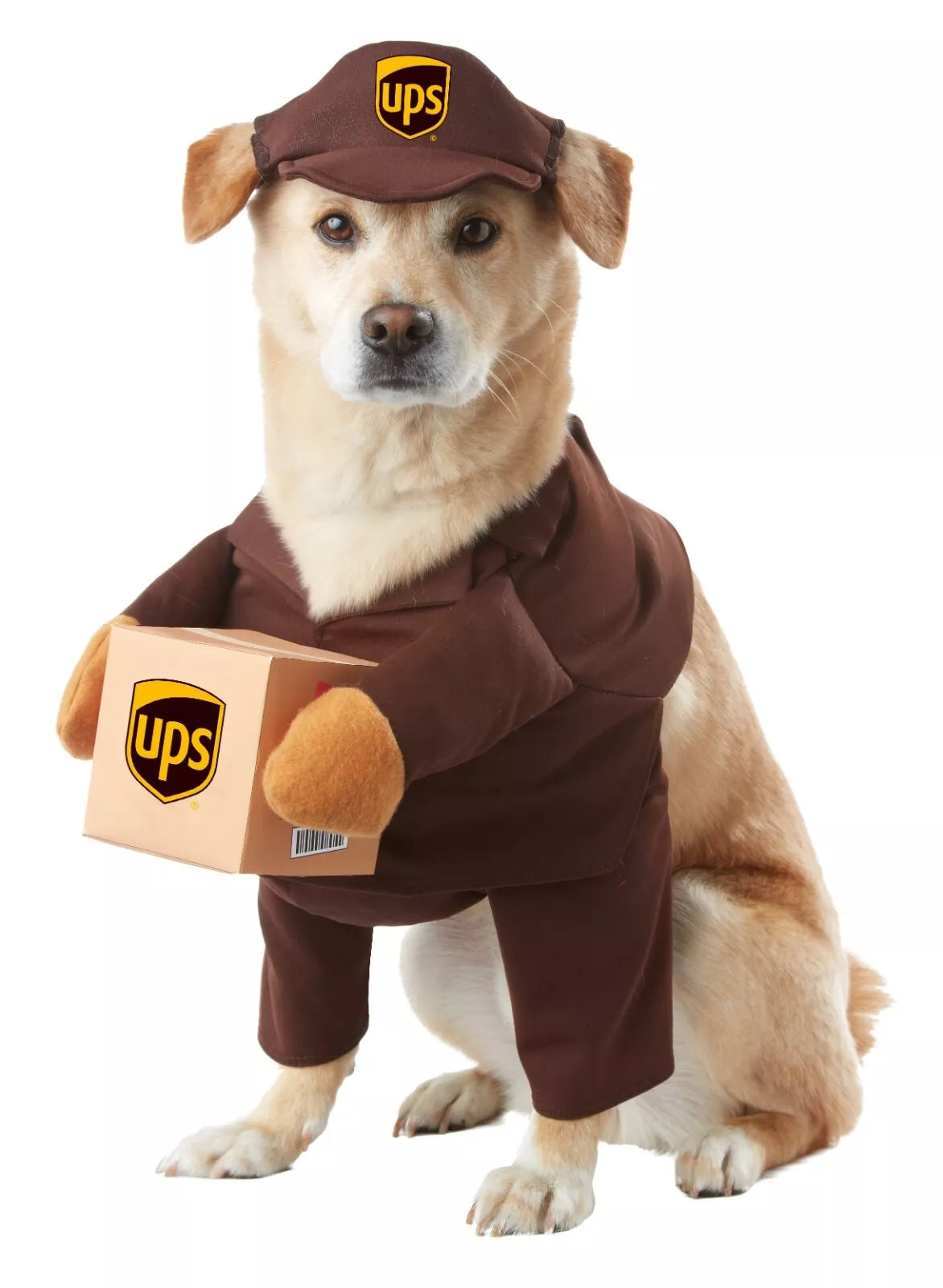 Ups Dog Halloween Costume