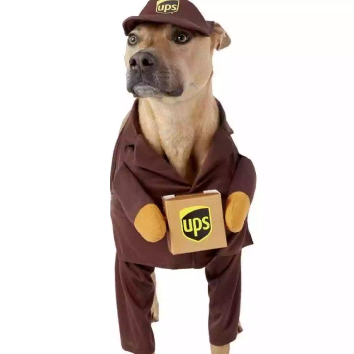 Ups Dog Halloween Costume