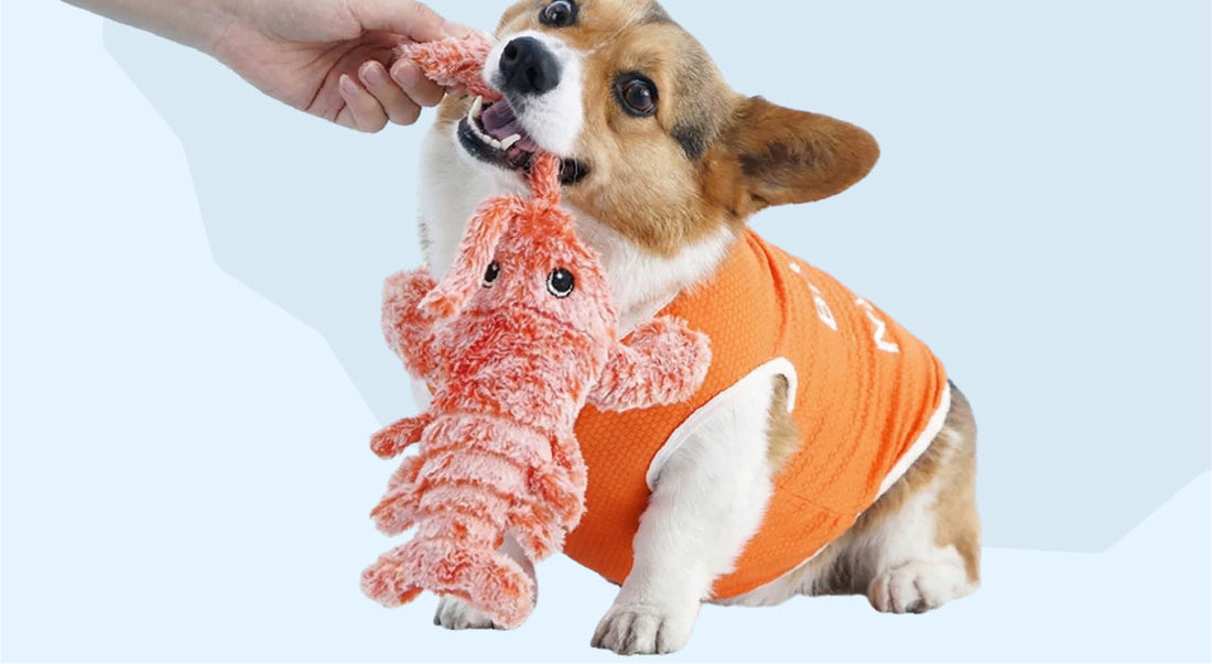 Best Dog Enrichment Toys