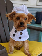 Top Chef Uniform Dog Costume