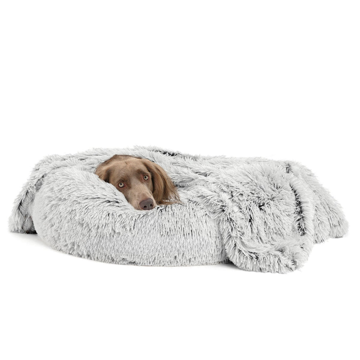 Dog lying on a fluffy gray pet bed against a white background