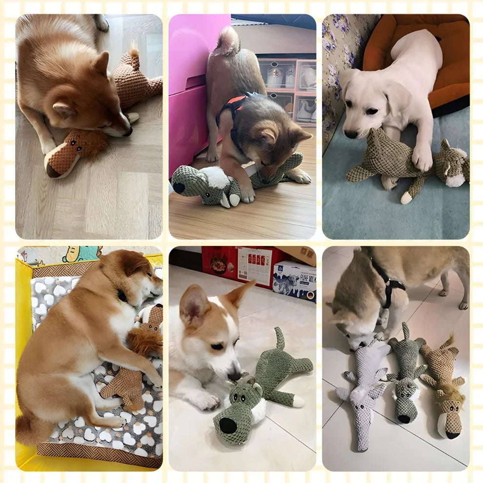 Collage of dogs playing with stuffed toys in various settings