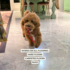 Automatic Dog Walker
