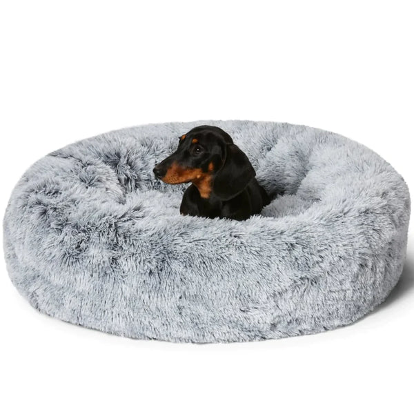 Calming Dog Bed Dog Anxiety Bed Orthopedic Stress Relief Summer Dog Bed The Calm Pet