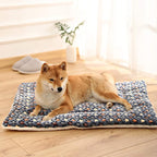a dog siting on soft fleece pet blanket with pattern.