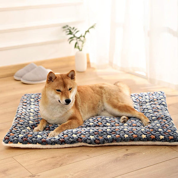 a dog siting on soft fleece pet blanket with pattern.