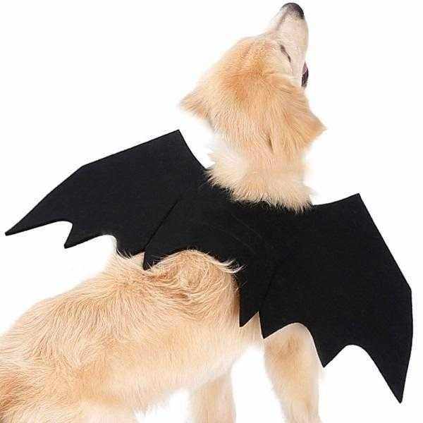 Bat Wings Dog Halloween Costume