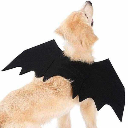 Bat Wings Dog Halloween Costume