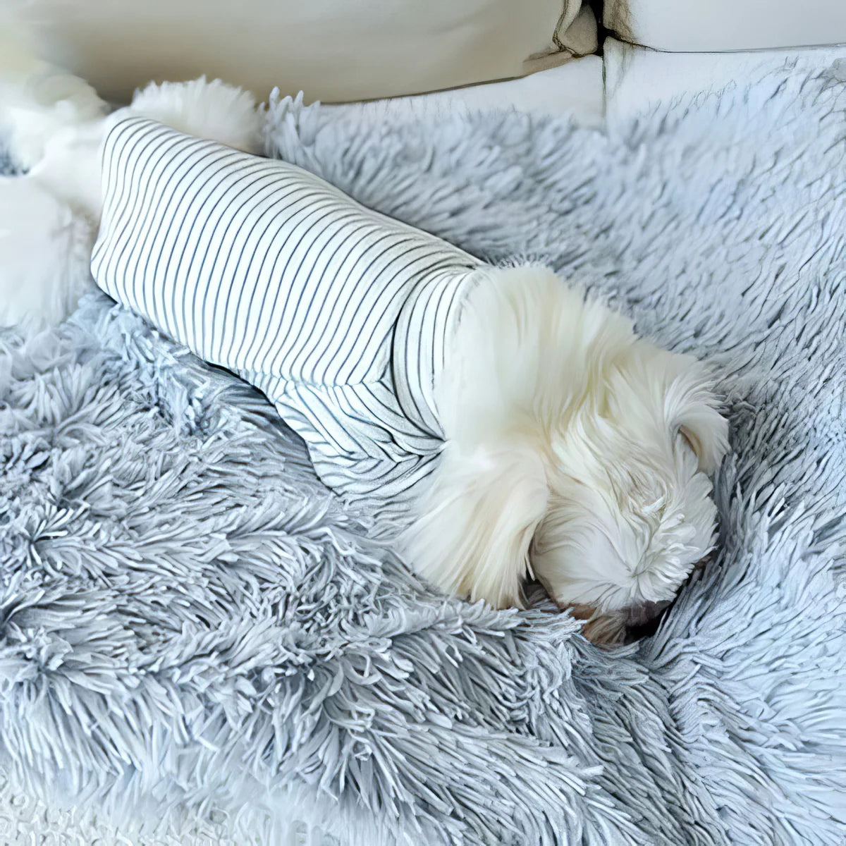 A dog is sitting on a gray, fluffy pet blanket draped over its back.