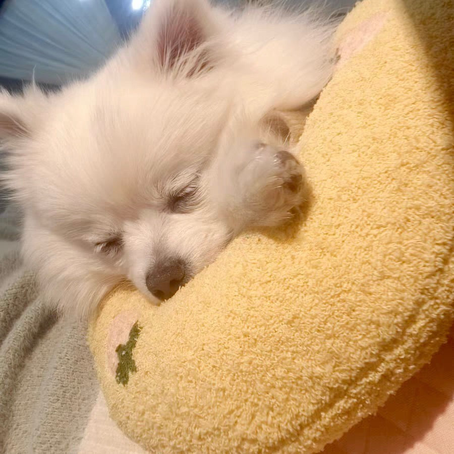 Calming Pillow