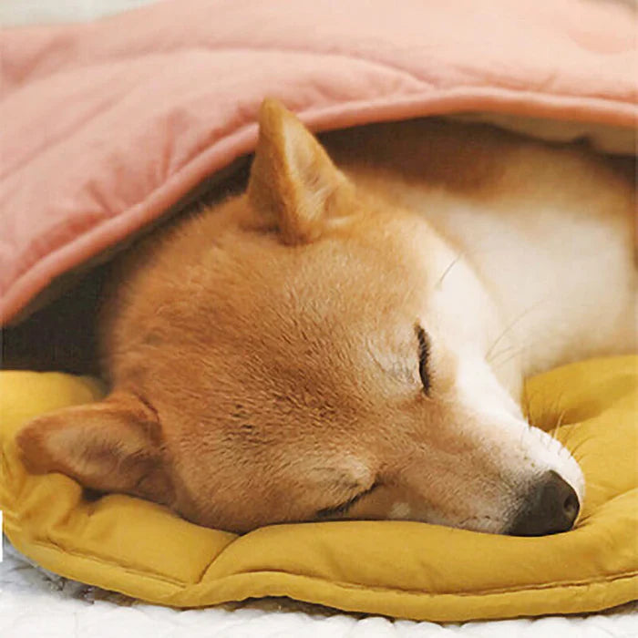 A dog sleeping  on yellow leaf shape blanket