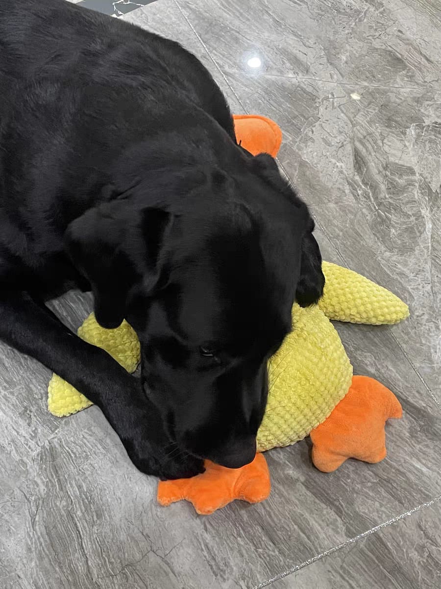 Calming Durable Duck Dog Toy, Heavy Chewing & Bite Resistant Toy For