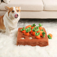 12 Carrots